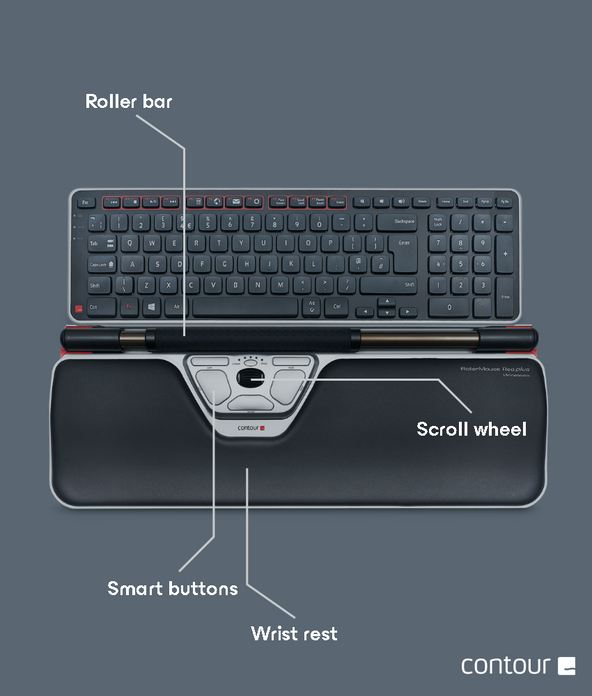 The Functionality of the RollerMouse